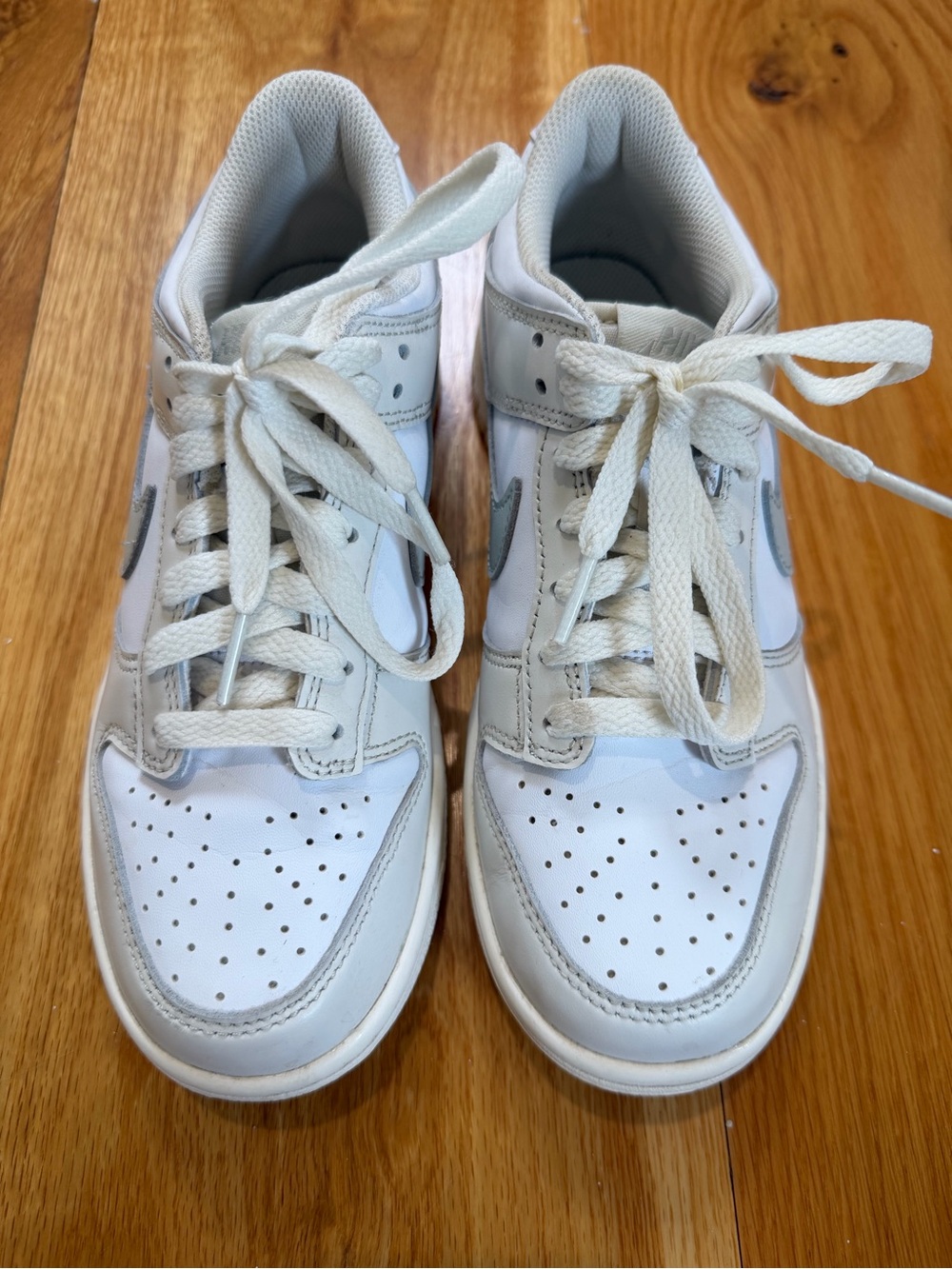 Nike Kids Dunks